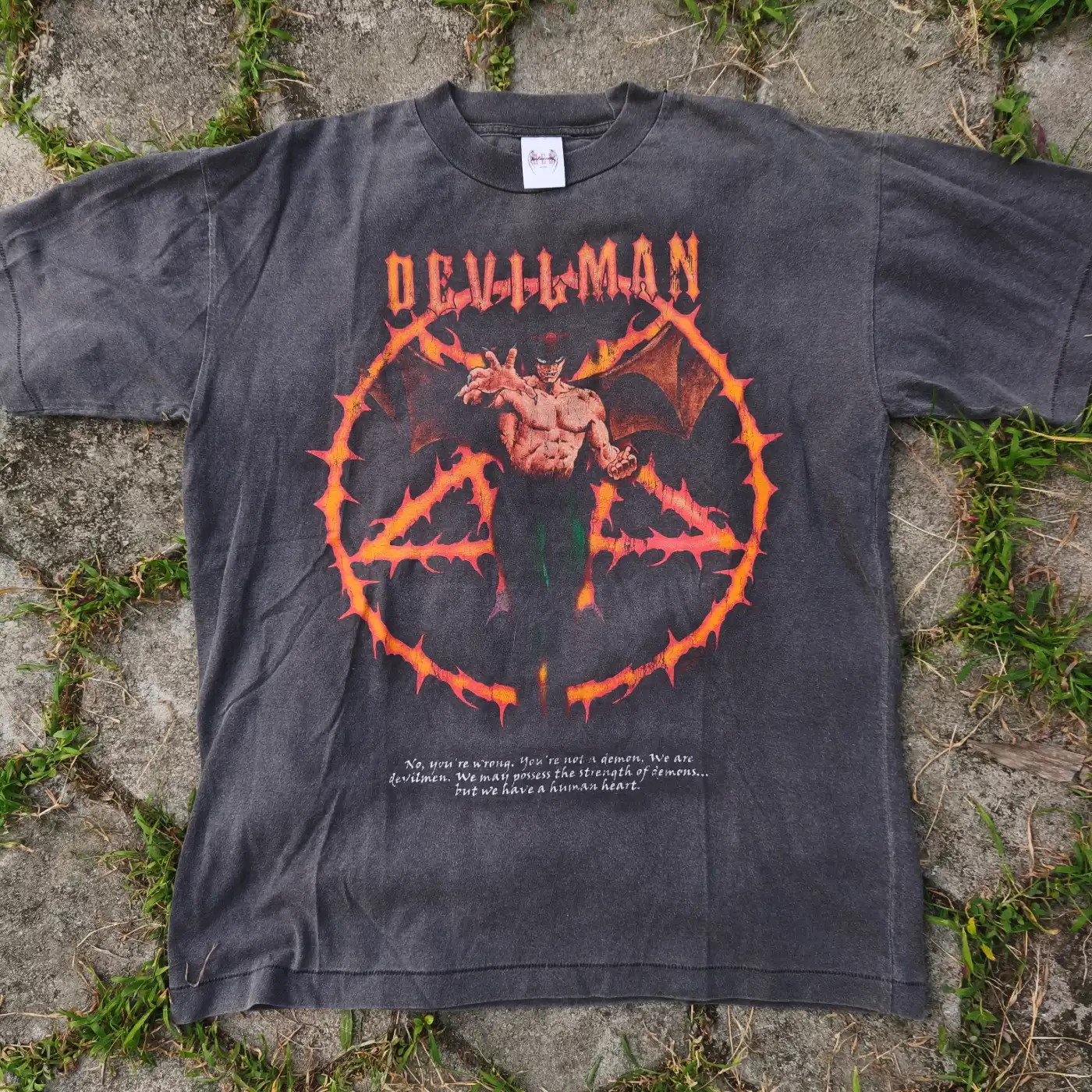 "DEVILMAN" (2004)