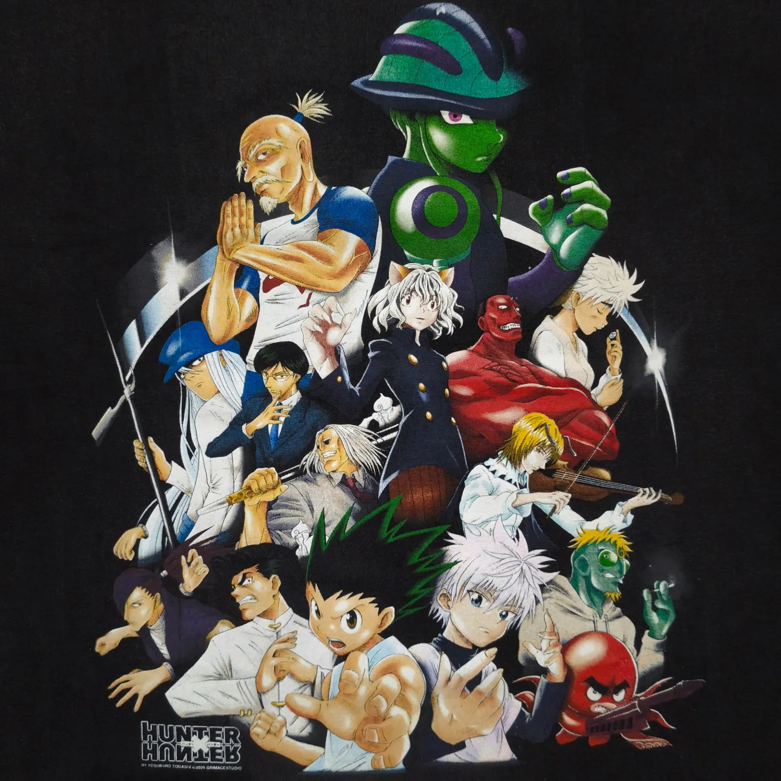 "Hunter X Hunter" Chimera Ant Arc